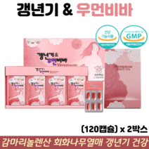 감마리놀렌산 영양제 회화나무열매 추출물 여성 갱년기 건망증 불면증 개선 갱년기우먼비바, 2박스, 120캡슐