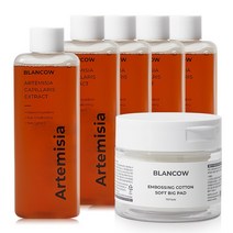 블랑카우 인진쑥 93.9% 에센스 스킨 토너 200ml + 비건 인증 빅패드 70매, 5개