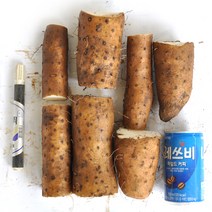 안동산약마을 장마 파지 알뜰_ 3kg 5kg 안동마/안동산마/햇마/참마/안동장마/알뜰마, 1box, 장마(파지) 5kg