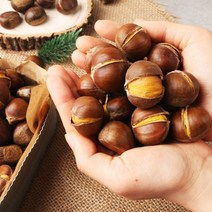 2023년 국산 햇 공주밤 칼집 약단밤 알밤 군밤 약밤 생율 밤 군밤용밤 맛밤 1kg 2kg 4kg, 3.칼집없는 공주밤 대 4kg, 1개