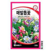 매발톱꽃 1000립/ 꽃씨 매발톱꽃씨앗 혼합종