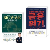 (서점추천) BIG WAVE 거대한 변화 + 경제파국으로 치닫는 금융위기 (전2권), 베가북스