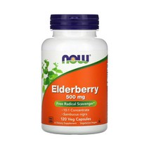 나우푸드 Now Foods 삼부커스 엘더베리 비건 500mg 120베지캡슐, 1개, 기본