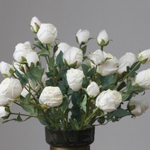 원더풀라이프 드라이 장미 조화 10송이, 흰색