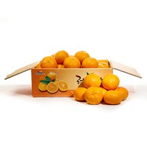 제주도 노지 귤 감귤 제주 감귤 제철 노지귤 3kg 5개입, 3kg 프리미엄 5개