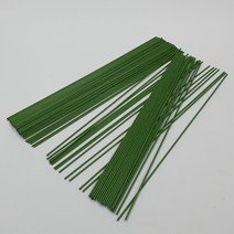 식물철심 50cm, 1개