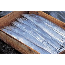 바르닷 냉동 갈치 8kg 특대 대서양 세네갈 갈치 구이 원물 토막 업소용 도매 소매, 세네갈 갈치 8kg [300/400]