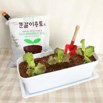 갑조네 상추모종 텃밭세트, 05.오크상추(3개)(랜덤), 오스모+뚝+이름표(대)+용토(10L)+깔망, 적색미니초화박스(대)+받침