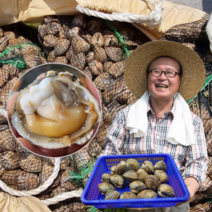 먹사부 노란 갈색 새조개 살 손질 생물 원물 샤브샤브 용 황금 500g 1kg 2키로 철, 선택2. 손질 새조개 (500g), 4개