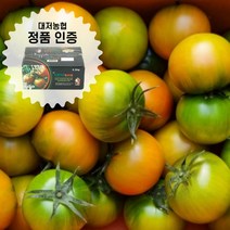 [정품인증] 대저 짭짤이 토마토 2.5kg 짭짜리 로얄과 부산대저토마토 정품 못난이, 2.5kg 대저토마토 A급 대과(L)