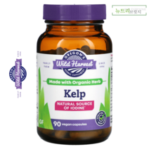 Oregons Wild Harvest 항갑상선제 항바이러스제 티록신 요오드 켈프 90베지캡슐, 베지캡슐 90정
