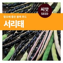 마이플랜트 서리태 콩 씨앗 30g
