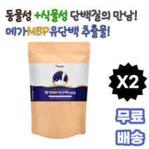 메가 MBP유단백추출물 150g L로이신 분리유청단백 산양유 농축유청단백 완두단백 초유 락토페린 군인 운동선수 20 30 40 50대 남녀노소 몸매관리 간편식 헬스 에어로빅, 2팩
