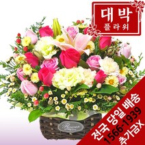 대박플라워 꽃동산 꽃바구니 생일선물 기념일 출산꽃선물 병문안 꽃배달