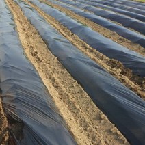 흑색 멀칭용하이덴필름 0.012mmX90cmX457m, 상세 설명 참조