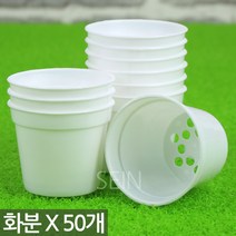 어린이집 유치원 식목일 화분 화이트 50개 - 플라스틱 미니 원형 플라스틱화분 아이 행사 플분 포트 식물 다육 다육이 선인장 모종 삽목 육묘 분갈이 저가 싼 화이트 흰색