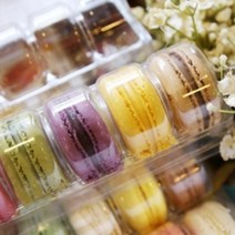 5010. 마카롱투명케이스(10구) -1pc