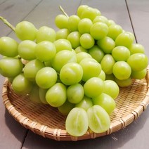[계절식탁] 김천 샤인머스켓 3-4년생 달콤한 망고포도 청포도, 특품 2kg 내외(2~3송이)