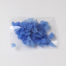 화연양화 프리저브드플라워 수국 1g 컬러최다 30색! 레진아트 캔들 하바리움 꽃재료, 19 스카이