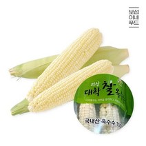 보섭이네푸드 T 보섭이네푸드 군자농협 찐 삶은 괴산 대학 찰옥수수 20개(특