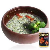 바보사랑 천연가습 도자기수반 금붕어키우기세트 중 2마리포함 .미미네아쿠아