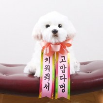 갓샵 인간화환 당일발송ver 강아지형 소형 [졸업 결혼식 생일], 상세설명 참조, 소형/7. 할머니환갑축하드려요 선물은저에요♥