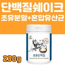 초유 단백질 유청 단백질 분말 식약처 수입 인증 추천 운동 전 후 부스터 에너지 헬스 근육 온가족 면역 글로블린 유산균 타먹는 가루 파우더 쉐이크 추천