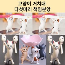 베튜 고양이 거치대 5마리 책임분양, 블랙+주황+그레이+얼룩이+화이트