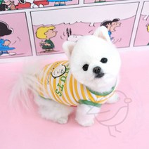 새임 티셔츠 옐로우 불독옷 진돗개옷 강아지나시, S