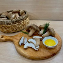 [몬스터농부] 국내산 산지직송 무농약 친환경 송화 송고 송향버섯 선물형 가정형, 금강급_가정형, 800g