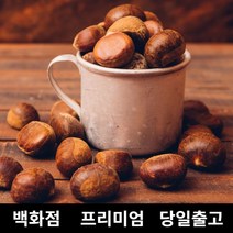 [특등급] 밤 1kg 공주밤 햇밤 옥광밤 약밤 군밤만들기 약단밤 칼집약단밤 칼집밤 군밤 밤도매 공주알밤 공주옥광밤 공주정안밤 정안밤 생밤 밤나무 생율밤 밤구매 맛밤 생율충주밤