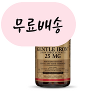 [솔가]-M2-철분 젠틀 아이언 90개입 01. 철분 25mg 90식물성 캡슐, 1개, 90정, 90개