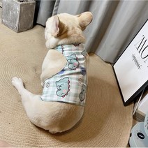 골든독 아기공룡 쿨조끼 쿨바대 프렌치불독 잉글리쉬불독 웰시코기 중형견 착용가능용