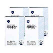 슬룸 하루충전 면역 피로 기능성 영양 제품 멀티비타민 홍삼 아연, [특가할인] 4개월분 (3+1)