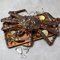 은하수산 살아서 도착하는 레드 활 킹크랩 2.0-2.2kg, 단품