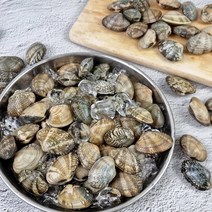 기타 [식품의즐거움] 해감완료 자연산 고창 바지락 1kg, 1개