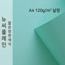 뉴씨플레인 종이문화 얇은 양면색지 120g A4 낱장 1매 No.17 옥색, 1장