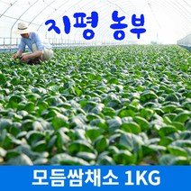 유기농 케일 즙용케일 친환경 신선초 1kg, 4+1kg