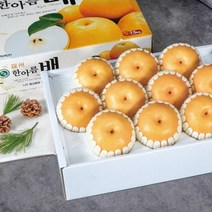 농부마음 산지직송 나주 신고배 선물세트 7.5kg(6-8과), 1