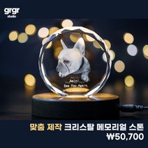 [맞춤제작]크리스탈 메모리얼 스톤 기념비 강아지 고양이 액자 수목장 봉안함 유골함 무지개다리 납골당 꾸미기 수의 비석, 따듯한 태양빛, E 빙산형