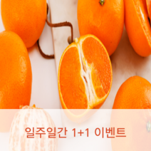 고당도 가정용 레드향 및 천혜향 판매(14brix이상/박스포함무게), 못난이 천혜향3kg(중과/10~16과)