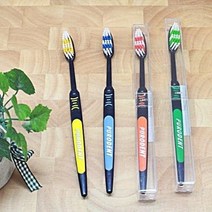 독일 블랙 퓨로덴트칫솔/가정용칫솔/여행용칫솔/소프트칫솔/부드러운칫솔(GD0638), 블루