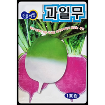 과일무씨앗100립 수박무 진흥종묘