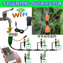 아파트베란다꾸미기 자동 급수 장치 원격 제어 홈 네트워크 발코니 정원 화분 급수 노즐 장비 스마트 가드닝, 1. DT 단일 WIFI 솔레노이드 밸브 + 30미터
