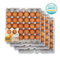 [YJ푸드] HACCP인증 100% 국내산 계란으로 만든 구운계란, 구운계란 120구(30구x4판), 4200g