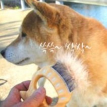 레써니 강아지브러쉬 강아지빗 케어펫 탄성 그루밍 털정리 미용 브라운