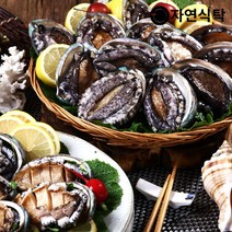 산지직송 [자연식탁]청정지역 완도 프리미엄전복1kg(40~50미)-아이스박스, 단품없음