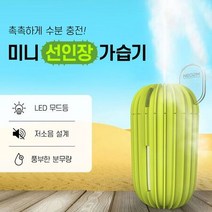[ ] 인테리어 소품 무드등 USB 선인장 미니 가습기, 상세페이지 참조