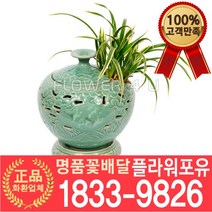 [플라워포유] 대국관 동양난 서양난 승진축하 영전축하 인사이동 개업난 선물 꽃배달 동양란 개업화분