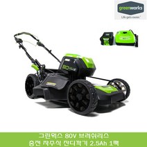 그린웍스 80V 충전식 자주식 잔디깍기 제초기 베어툴 2.5Ah 5Ah 8Ah 배터리 1팩 2팩 충전 잔디깍는 기계 전기 무선 잔디깎기, 선택02_80V 자주식 잔디깍기 2.5Ah 1팩, 2개